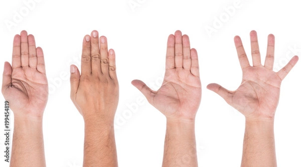 Obraz Male hand showing five fingers