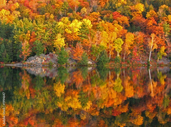 Obraz killarney_0413