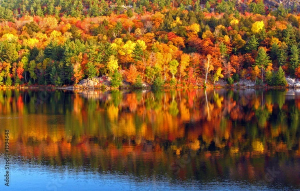 Obraz rano nad jeziorem 3