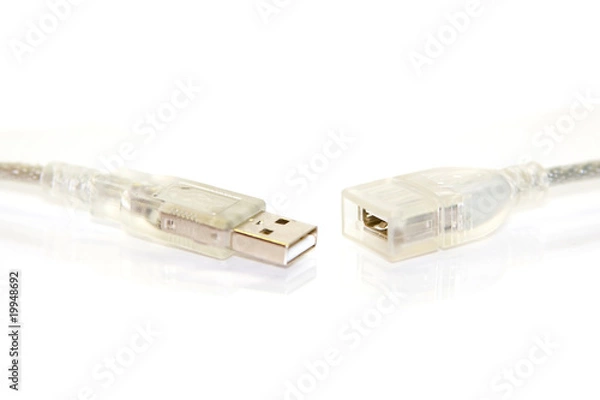 Fototapeta Disconnected