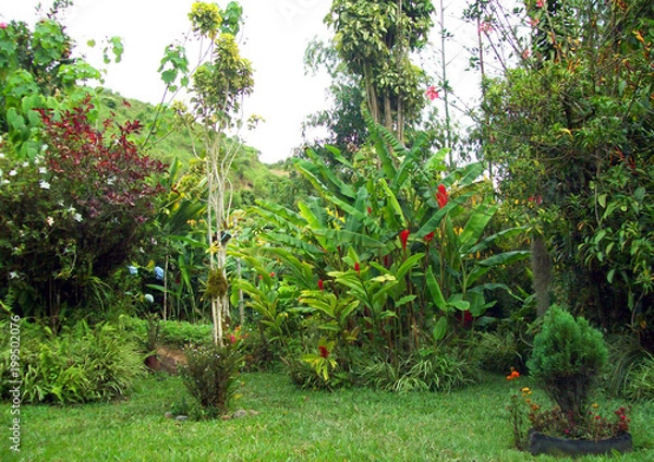 Fototapeta Naturaleza embellecida