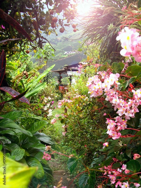 Obraz Sendero mágico