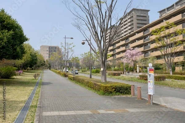 Fototapeta 早春の散歩