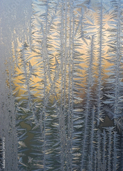 Obraz frosty tracery
