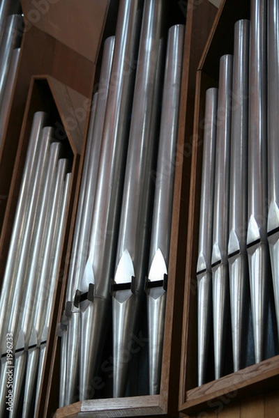 Obraz organ