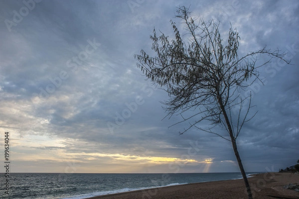 Obraz NECESIDAD DE SOLEDAD
