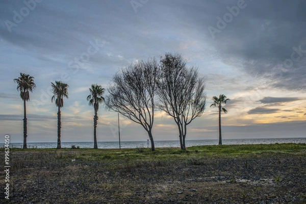 Obraz Necesidad de mi soledad