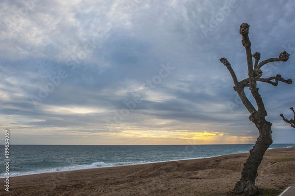 Obraz NECESIDAD DE SOLEDAD