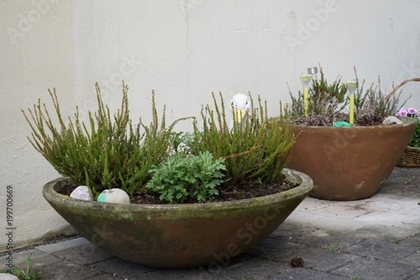 Obraz Blumenkübel Shabby