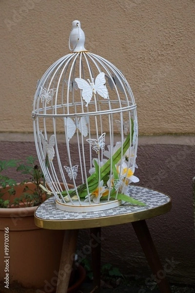Obraz Vogelkäfig
