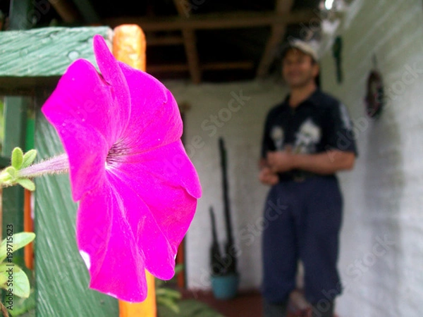 Obraz Enfoque de flor