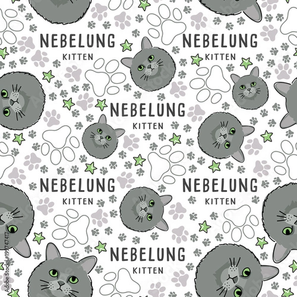 Fototapeta Cat Breed Collection : Seamless Pattern : Vector Illustration