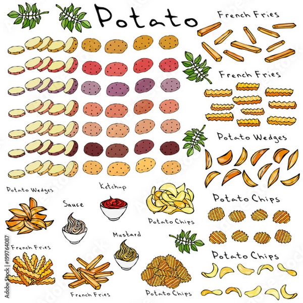 Fototapeta Fast Food Set. Varieties of Potatoes of Different Colors. Potato Slices and Nightshade Leaves. Potato Wedges, French Fries, Corrugated Potato Chips, Wave Chip, Ketchup, Mustard, Mayo in a Bowl.