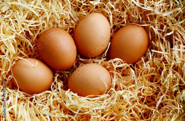 Fototapeta Many eggs in artificial straw with shadow