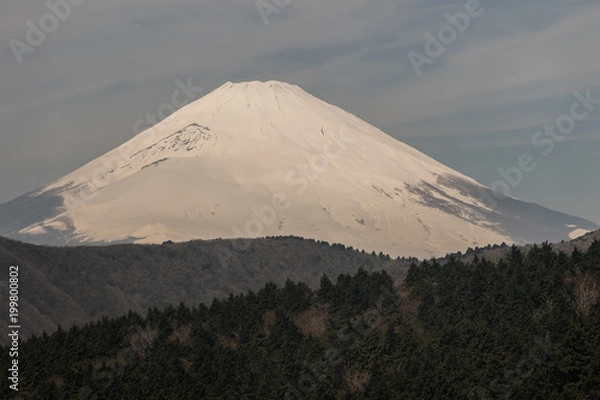 Obraz Mt Fuji