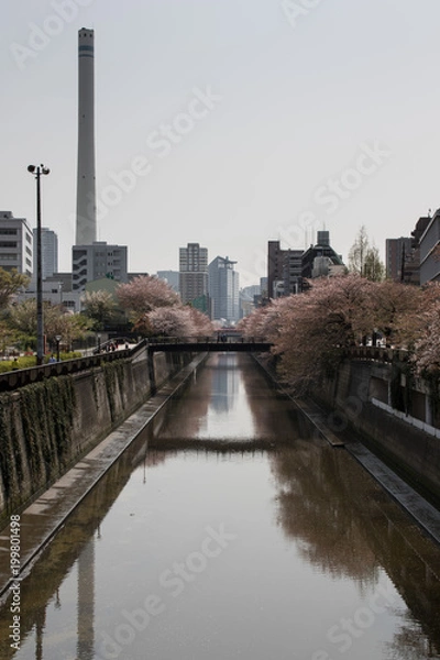 Obraz Meguro river