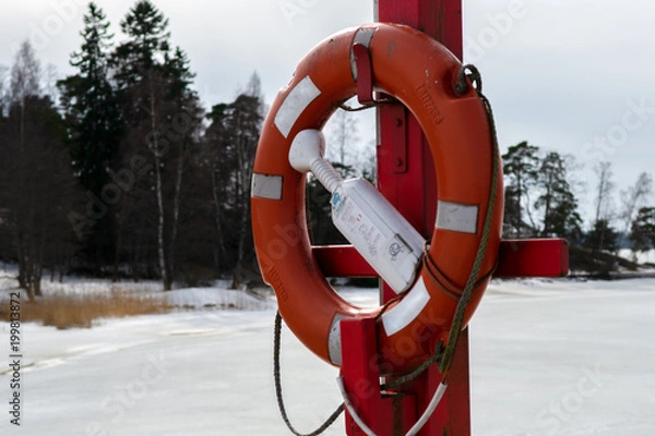 Obraz Life buoy