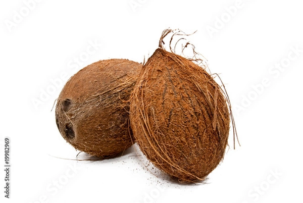 Obraz tropical coconut