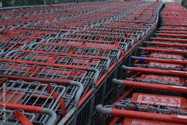 Obraz Round 'em up too