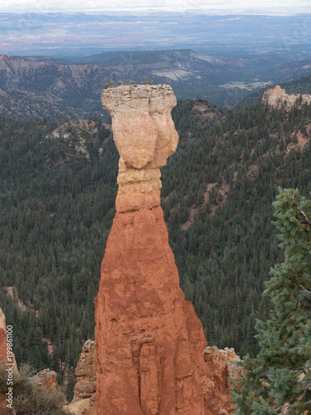 Fototapeta Hoodoo in bryce