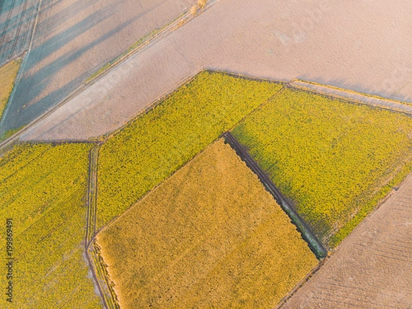 Fototapeta Green abstract fields looked from above
