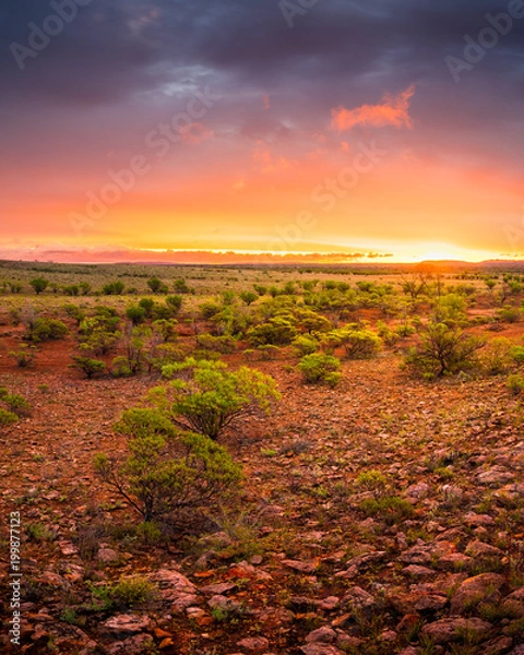 Obraz Desert Sunset