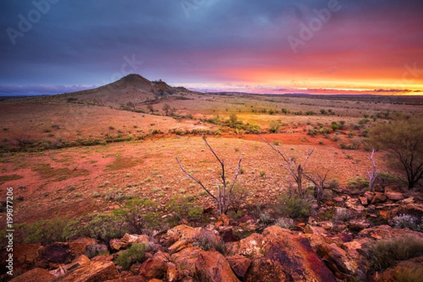 Obraz Desert Glory