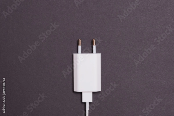 Obraz White charger with cable