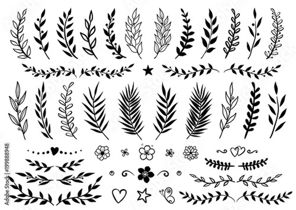 Obraz set of hand drawn branches and flowers