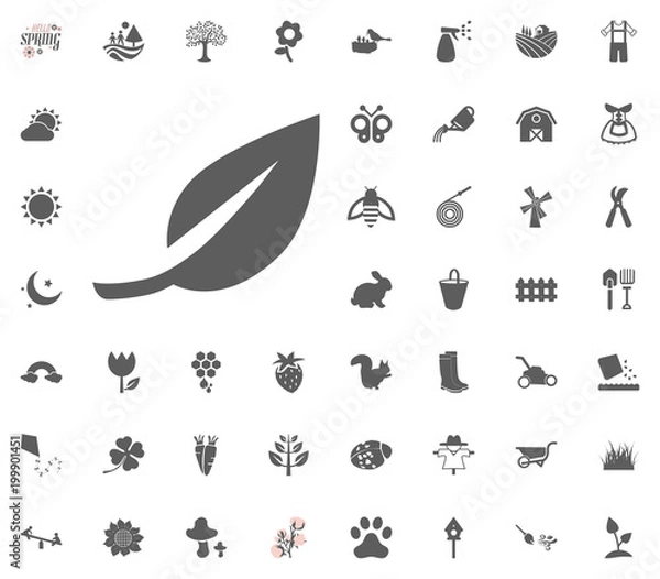 Fototapeta Leaf icon. Spring vector illustration icon set.