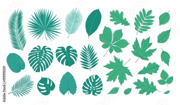 Fototapeta Big set of summer leaves. Sketch, floral elements for your design. Vector illustration.