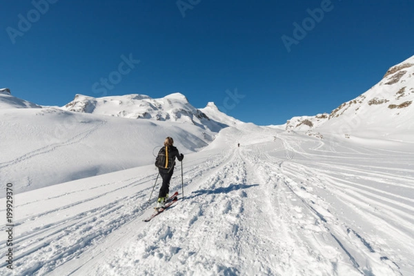 Obraz travesia de skymo sobre pradera nevada