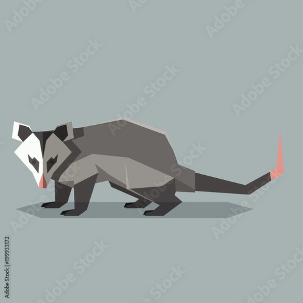 Fototapeta Flat polygonal Opossum