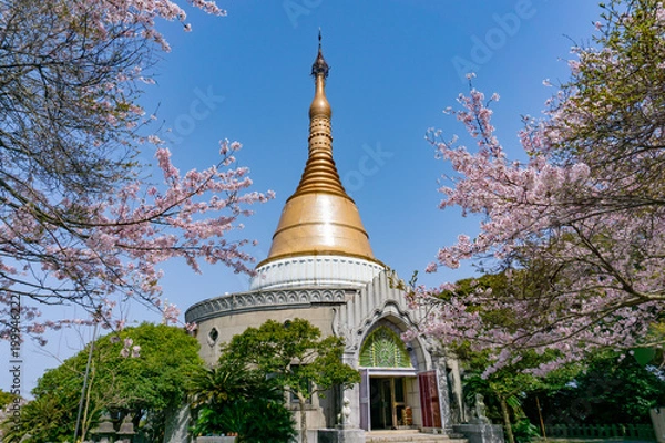 Fototapeta 世界平和パゴダ