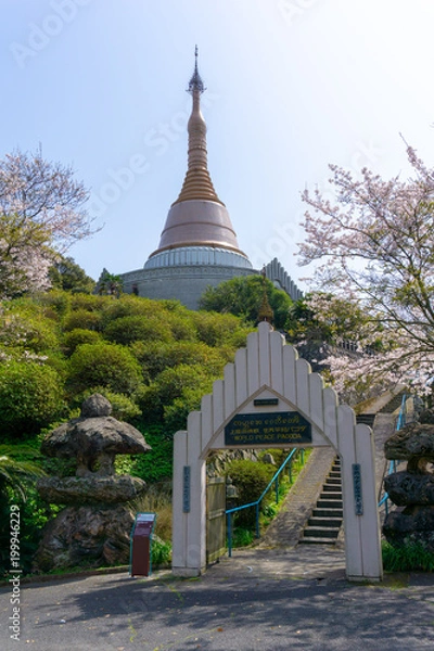 Fototapeta 世界平和パゴダ