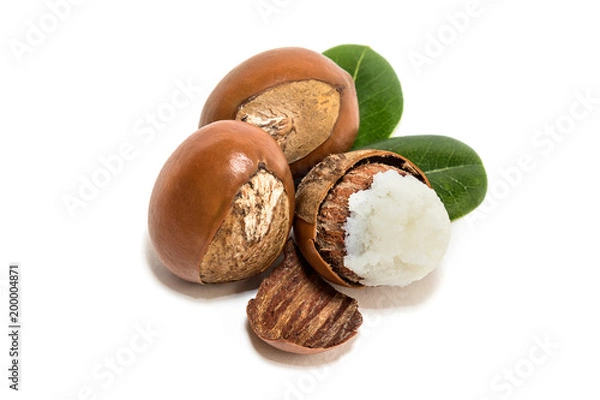 Fototapeta Shea nuts. Vitellaria paradoxa