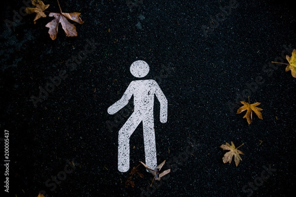 Fototapeta walking in autumn