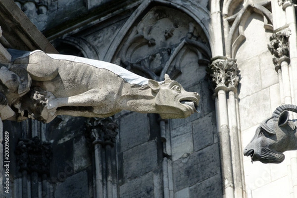 Obraz Gargoyle at Cologne Cathedral, Germany