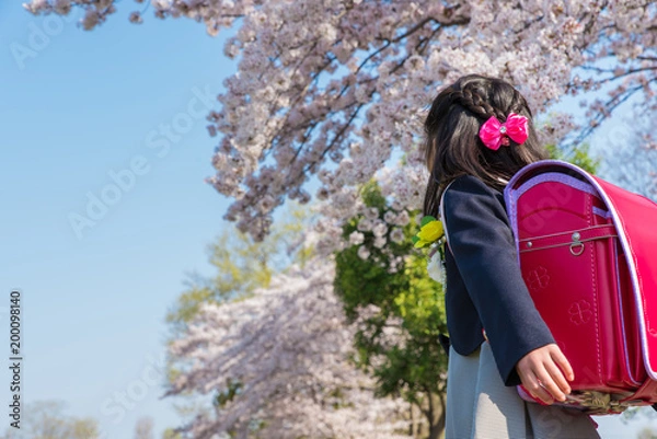 Obraz 小学校入学
