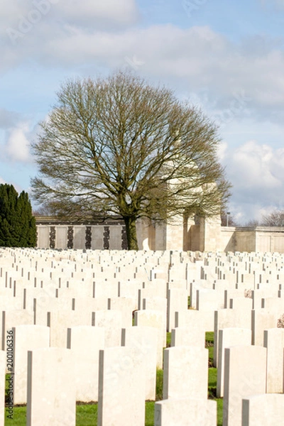 Obraz Tyne cot cemetery