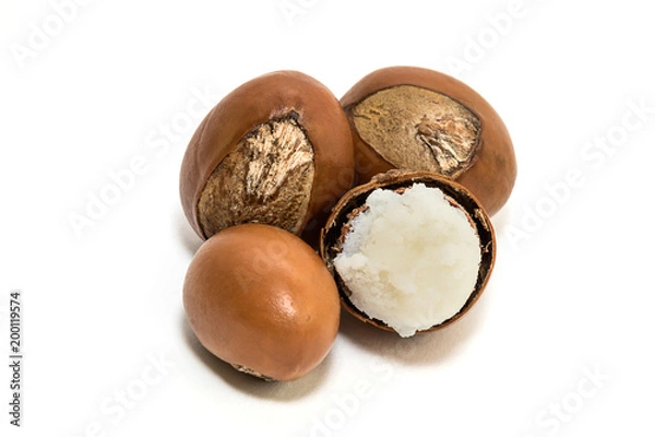 Fototapeta Shea nuts. Vitellaria paradoxa