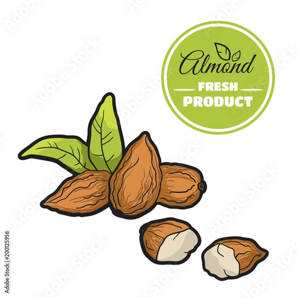 Obraz Colored Almond On White