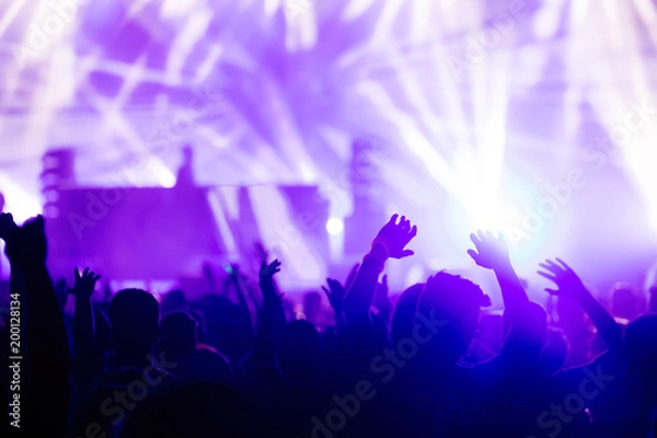 Fototapeta Picture of dancing crowd at music festival