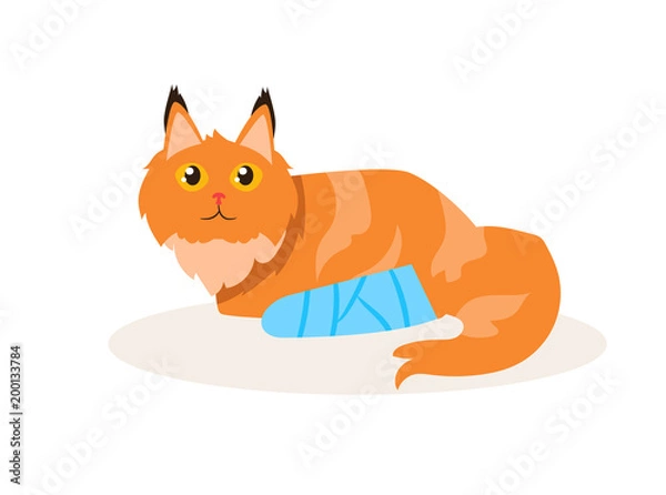 Fototapeta Cat with a broken leg Vector. Cartoon