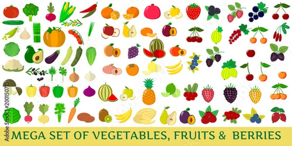Obraz Mega set of fresh vegetables, fruits and berries illustrations on a white background.