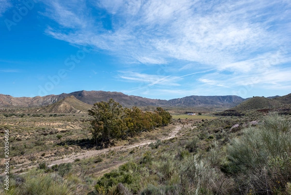 Fototapeta The green way of Lucainena under the blue sky in Almeria
