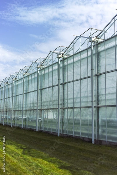Fototapeta New empty big greenhouse, view outside with blue sky