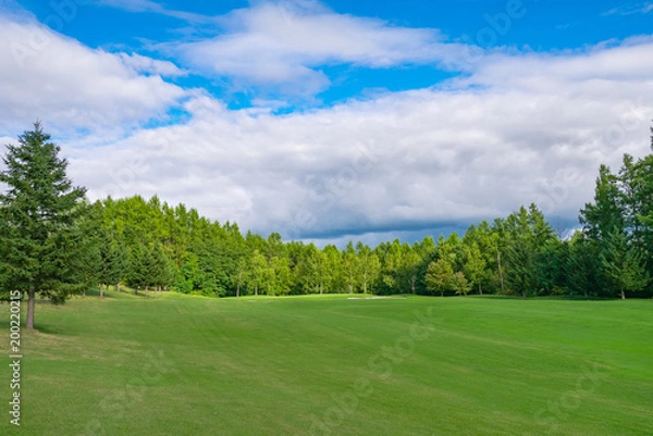 Fototapeta ゴルフコース フェアウェイ