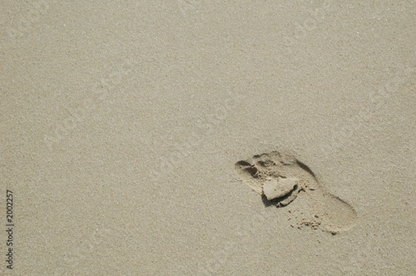 Fototapeta l'empreinte