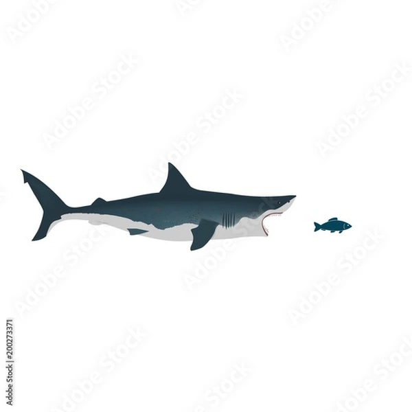 Fototapeta Shark with open and petite fish. Flat isolated vector illustration on a white background.